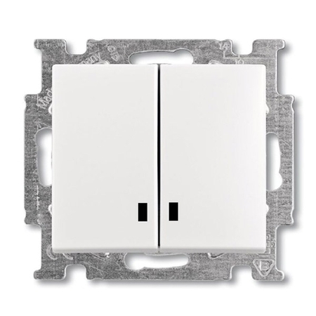 Выключатель 2-клавишный ABB BASIC55 с подсветкой, альпийский белый, 2006//5 UCGL-94-507, 2CKA001012A2154