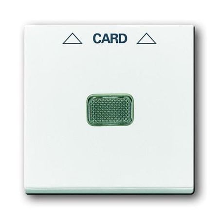 Накладка на карточный выключатель ABB BASIC55, альпийский белый, 1792-94-507, 2CKA001710A3864