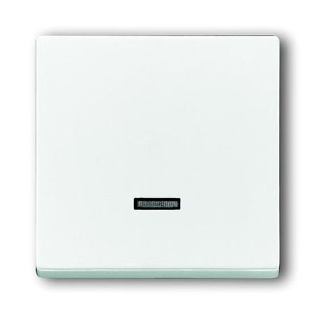 Накладка на светорегулятор ABB BASIC55, альпийский белый, 6543-94-507, 2CKA006599A2997