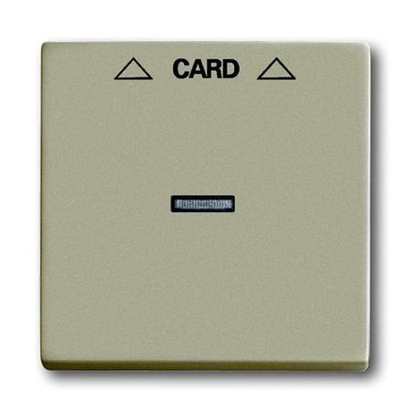 Накладка на карточный выключатель ABB BASIC55, шампань, 1792-93-507, 2CKA001710A3929