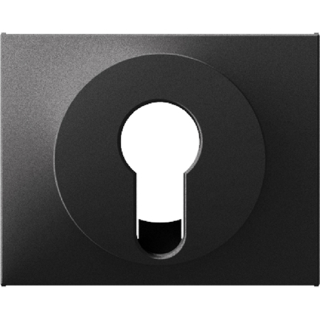 Накладка на поворотный выключатель Berker K.1, антрацит матовый, 15057006