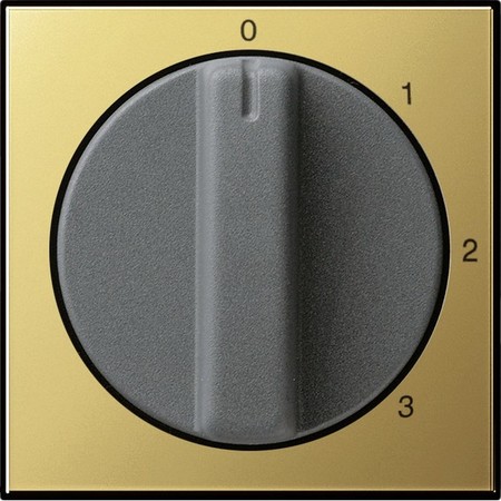 Накладка на поворотный выключатель Gira SYSTEM 55, латунь, 0669604