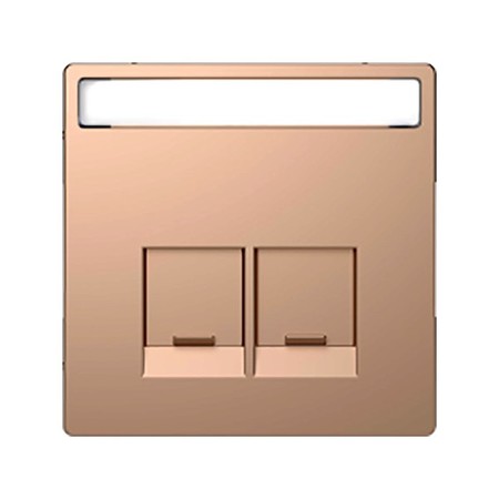 Накладка на розетку информационную Schneider Electric MERTEN D-LIFE, шампань, MTN4574-6051