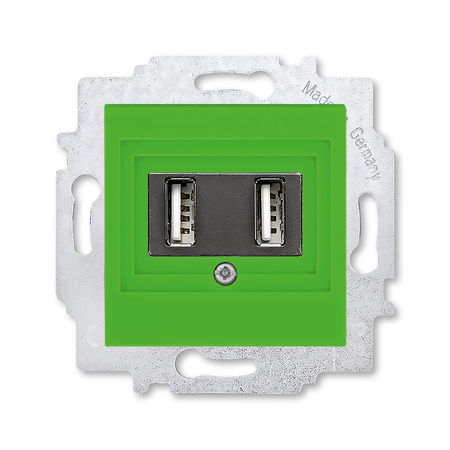 Розетка USB ABB LEVIT, скрытый монтаж, зеленый, 5014H-A00040 67W, 2CHH290040A6067