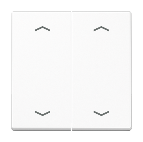 JUNG Клавиши для сдвоенной кнопки BCU, A595MPWW