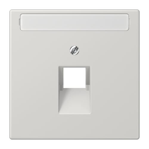 JUNG LS 990 Светло-серая Накладка 1-ой наклонной ТЛФ/комп розетки с полем для надписи, LS969-1NAUALG