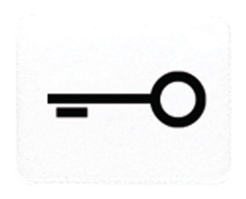 JUNG CD 500/CD plus Белая Линза с символом КЛЮЧ для клавиши с окошком, 33TWW