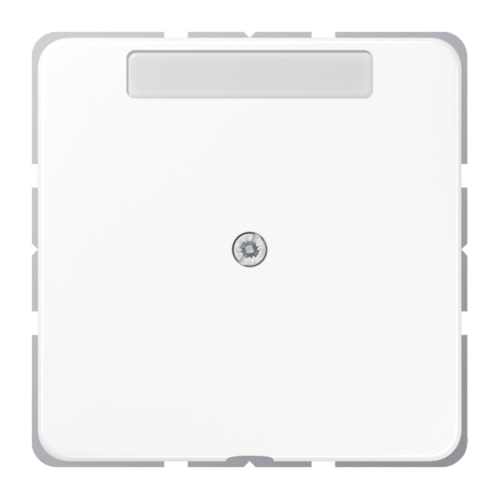 JUNG CD 500/CD plus Белый Вывод кабеля с полем для надписи, CD590NAAWW