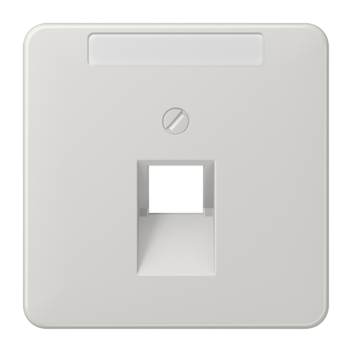 JUNG CD 500/CD plus Светло-серая Накладка 1-ой наклонной ТЛФ/комп розетки с полем для надписи, CD569-1NAUALG
