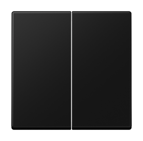 A500 Клавиша 2-ная, цвет матовый черный, A595SWM