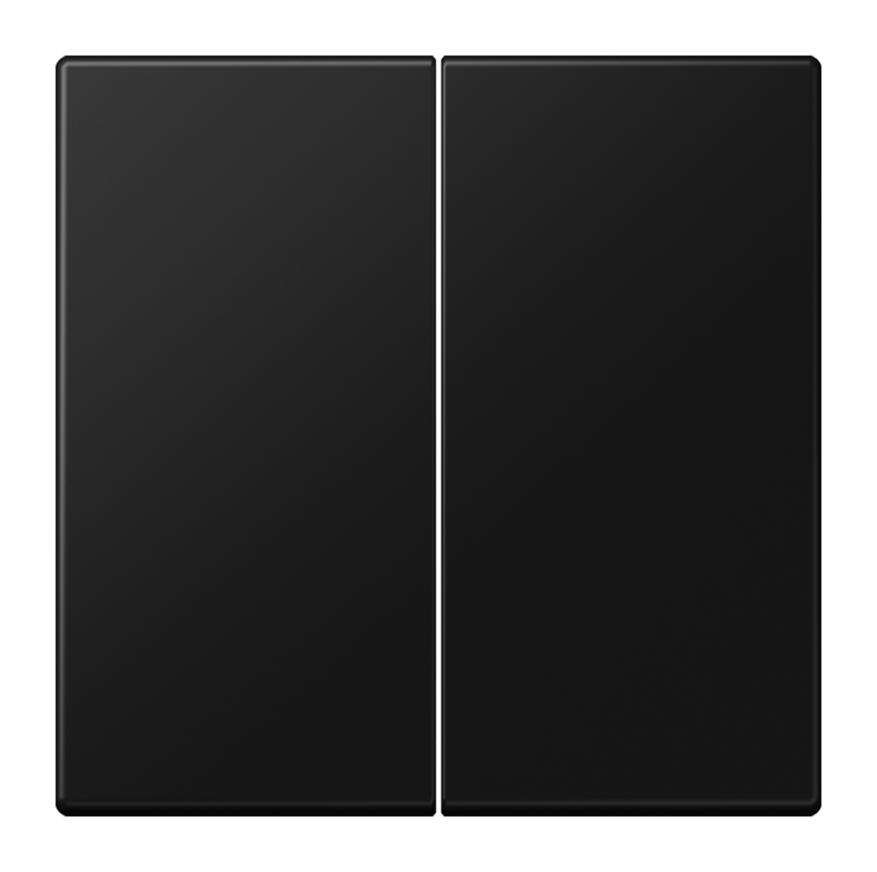 LS990 Клавиша 2-ная, цвет матовый черный, LS995SWM
