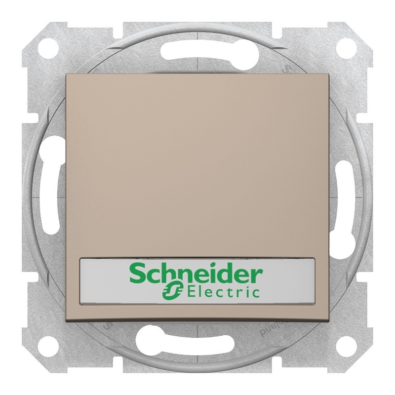 Выключатель 1-клавишный кнопочный с полем для надписи Schneider Electric SEDNA, с подсветкой, скрытый монтаж, титан, SDN1600368