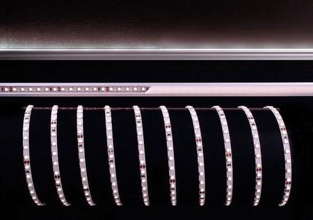 Лента светодиодная Deko-Light 3528-120-24V-6200K-5m 840161