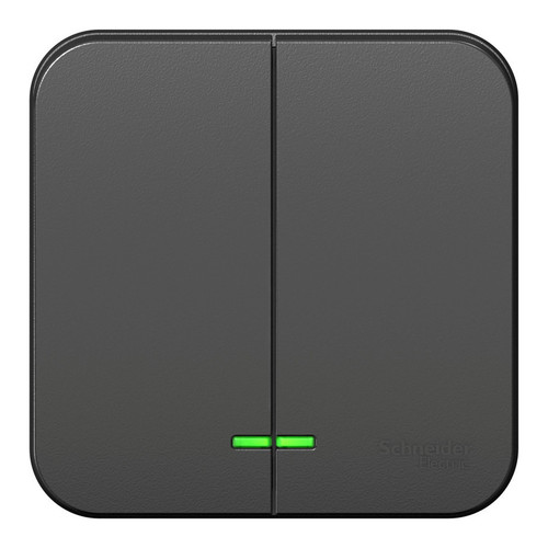 Выключатель 2-клавишный Schneider Electric BLANCA, с подсветкой, открытый монтаж, антрацит, BLNVA105106