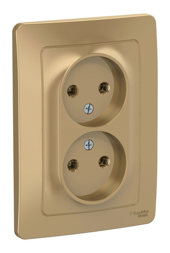 Розетка двухместная Schneider Electric BLANCA, скрытый монтаж, титан, BLNRS000024