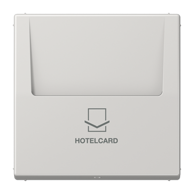 Накладка на карточный выключатель JUNG LS 990, светло-серый, LS590CARDLG
