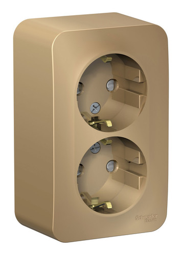 Розетка двухместная Schneider Electric BLANCA, открытый монтаж, с заземлением, со шторками, титан, BLNRA011204
