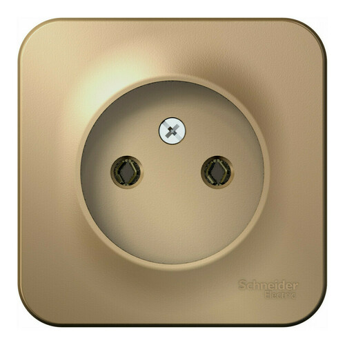 Розетка Systeme Electric BLANCA, открытый монтаж, без заземления, титан, BLNRA000114