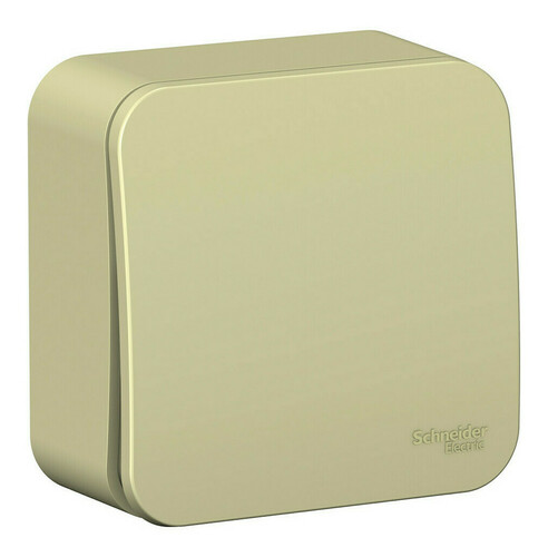 Переключатель 1-клавишный Systeme Electric BLANCA, открытый монтаж, бежевый, BLNVA106017