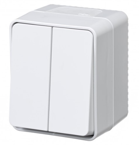 AtlasDesign Profi54 Выключатель 2-клавишный 10 АХ, БЕЛЫЙ, ATN540151