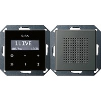 Комплект цифровое FM-радио Gira E22, стальной