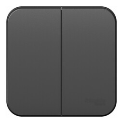 Выключатель 2-клавишный Systeme Electric BLANCA, открытый монтаж, антрацит, BLNVA105006