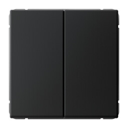 Выключатель 2-клавишный кнопочный Systeme Electric ARTGALLERY, скрытый монтаж, карбон, GAL001017